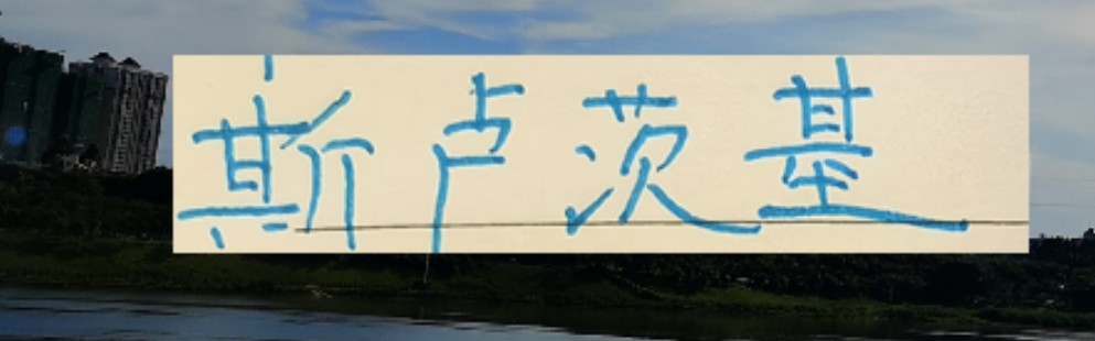 开云官网-不怕盖伊不进球 ！ 就怕这哥们在申花发飙！进塞内加尔国家队